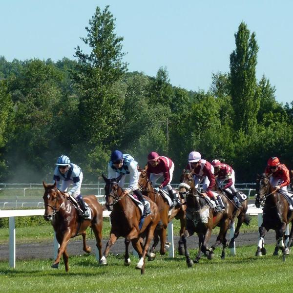 horse race