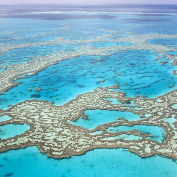 Queensland reef scientist