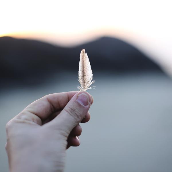 Hand holding a feather