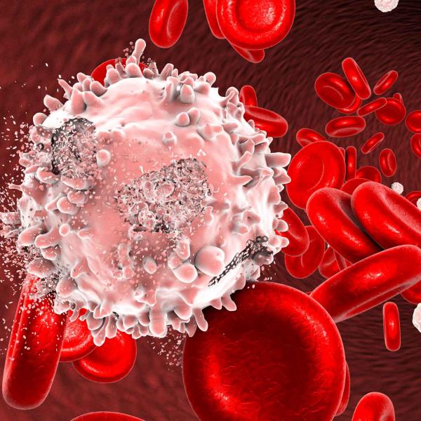 Leukaemia cell