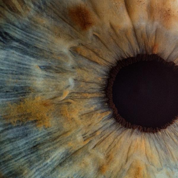 close up of human eye