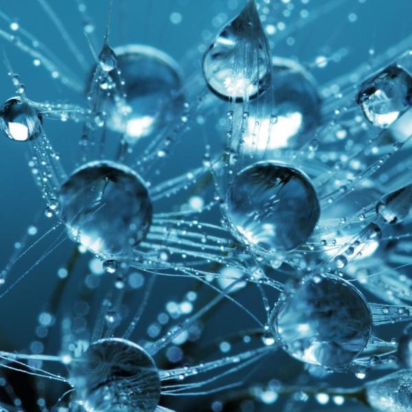 quantum materials