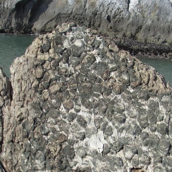 stromalites