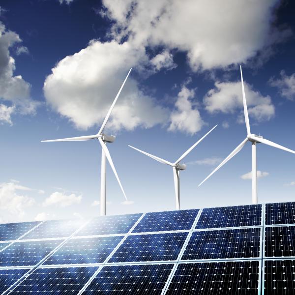 Wind solar array