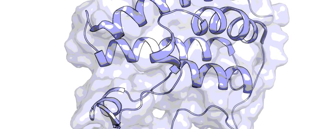 protein crystal structure