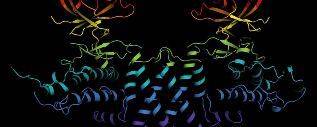 Molecular scaffold