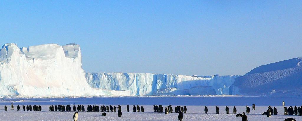 Antarctica