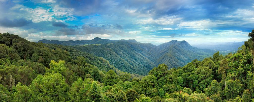 Australian landscape panorama