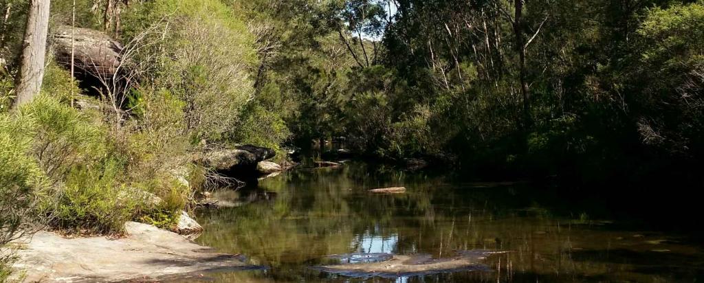 Australian landscape 