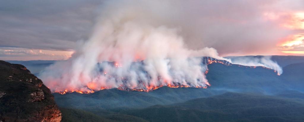 Bushfire
