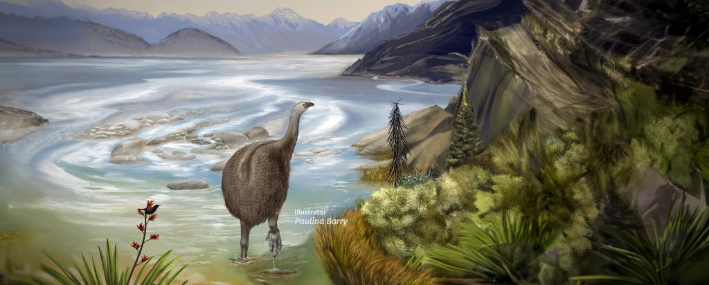 Moa