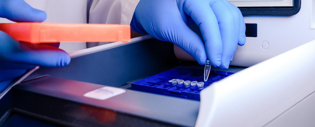PCR