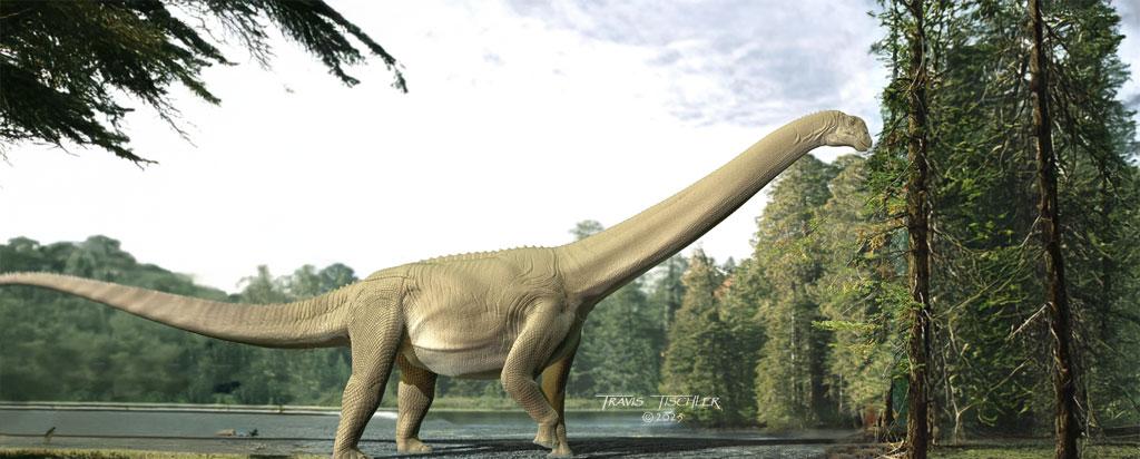 Diamantinasaurus matildae