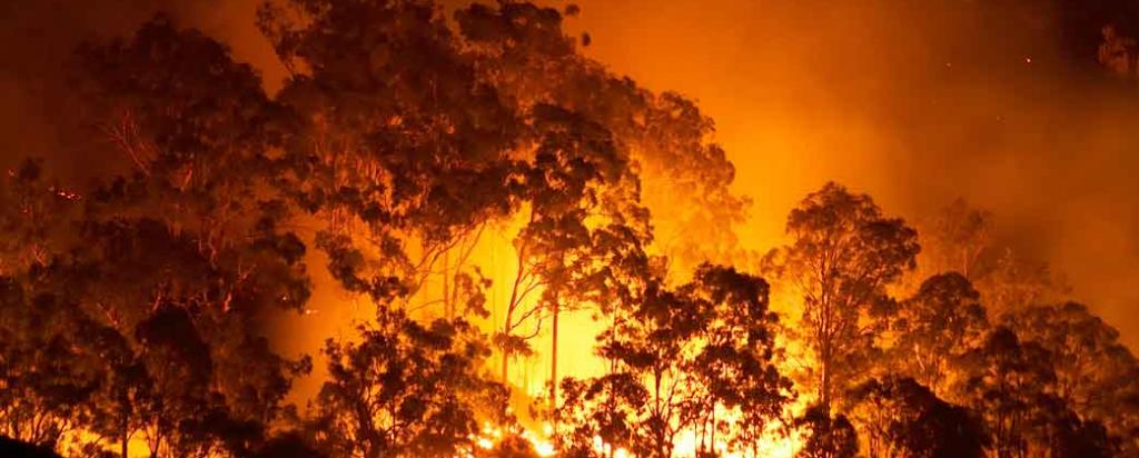 Bushfire