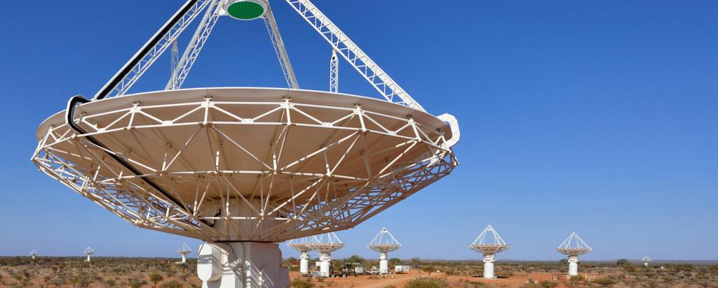 Big Science: The Square Kilometre Array