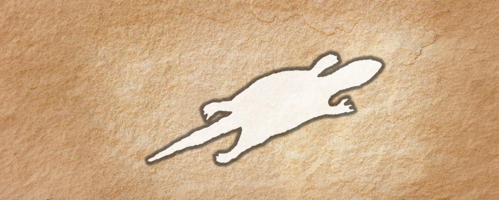 Goanna banner