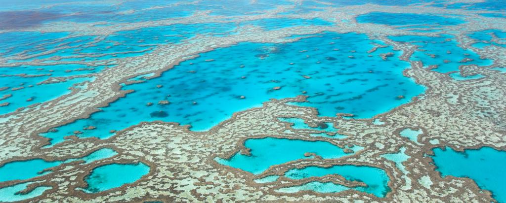 Barrier reef