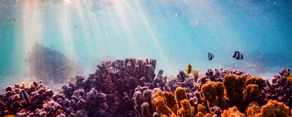 Great Barrier Reef