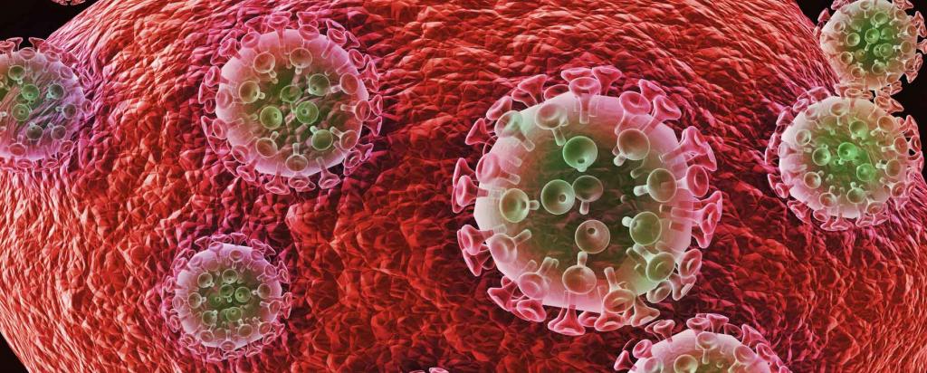 HIV attcacking cell
