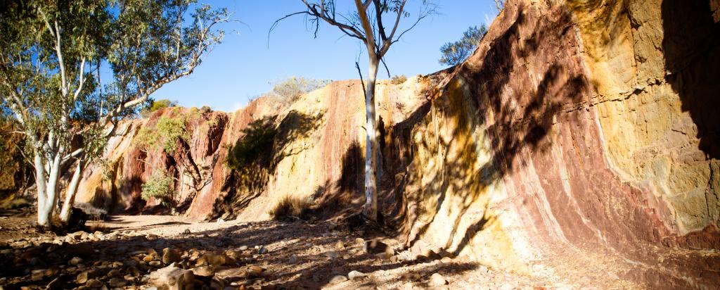 Indigenous Ochre 