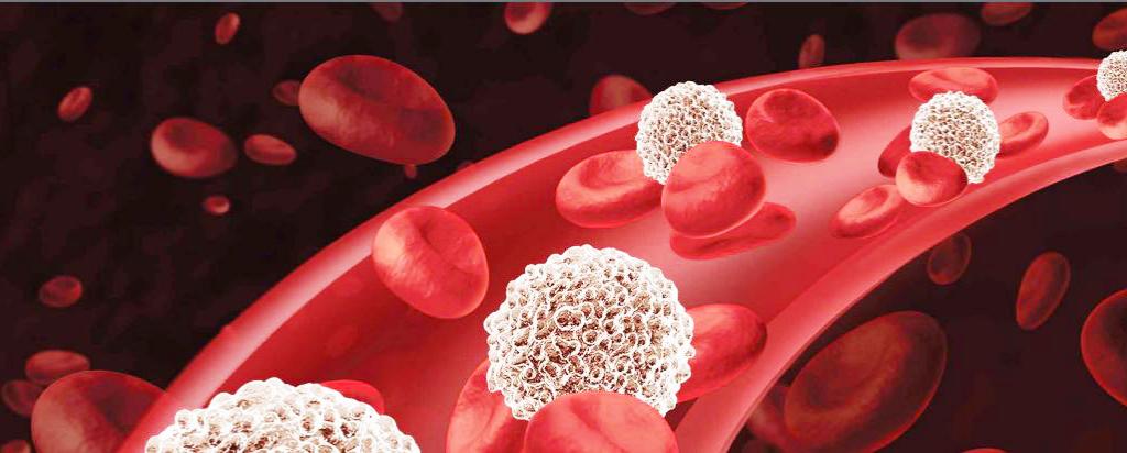 Leukaemia cells