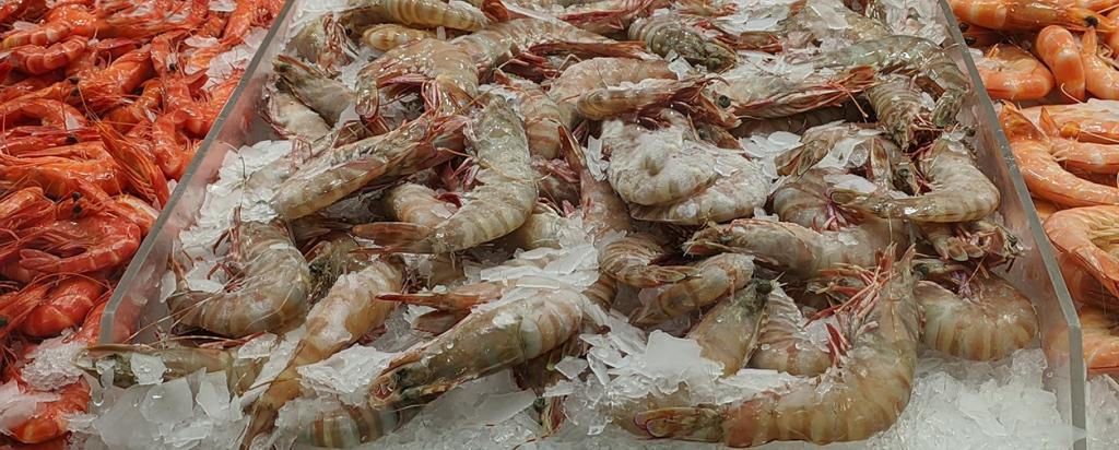 Seafood at market