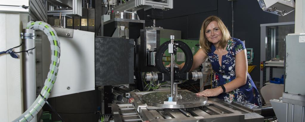 Prof Anna Paradowska