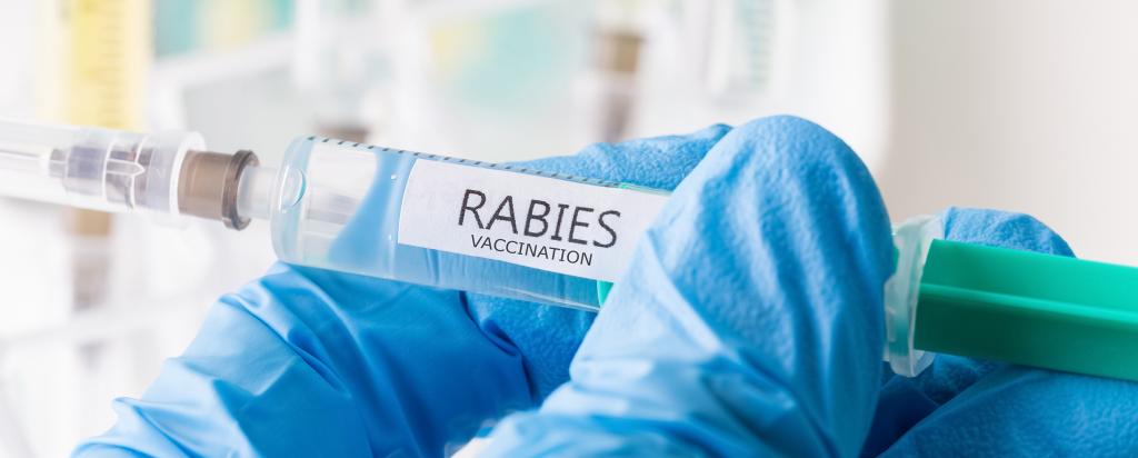 Rabies virus