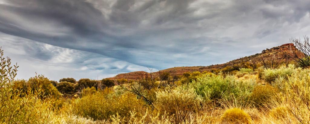 Rainfall Northern Territory