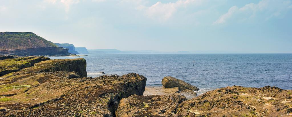 Rocky coast