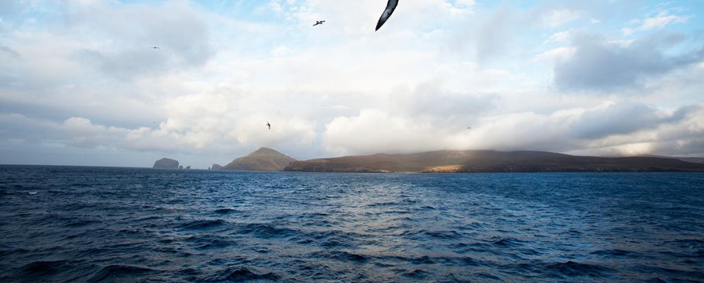 Sub Antarctic Islands