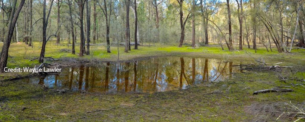 Ancient groundwater enters food web