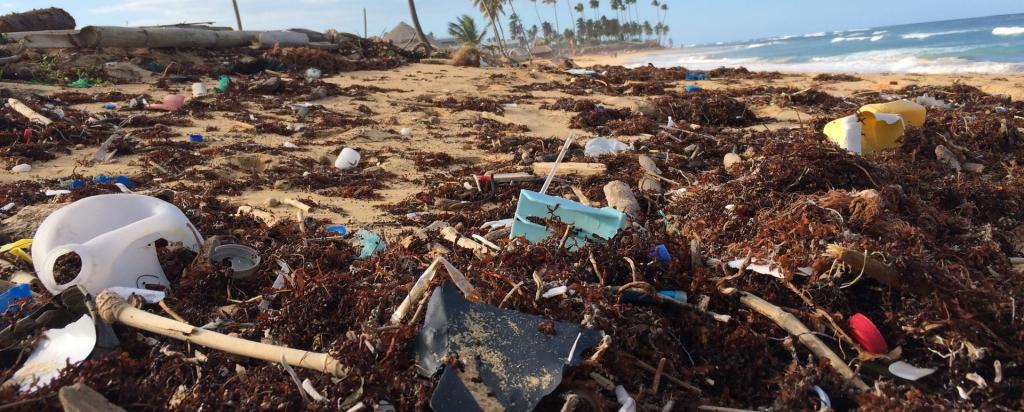 coastal pollution