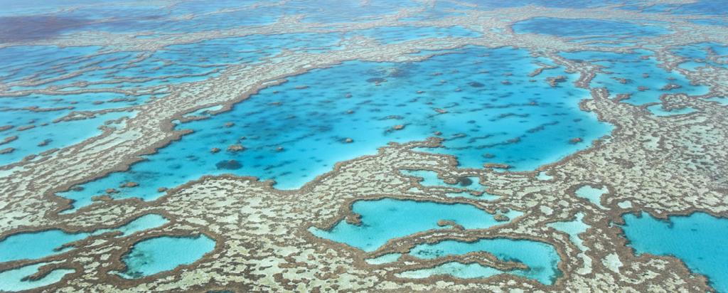 Queensland reef scientist