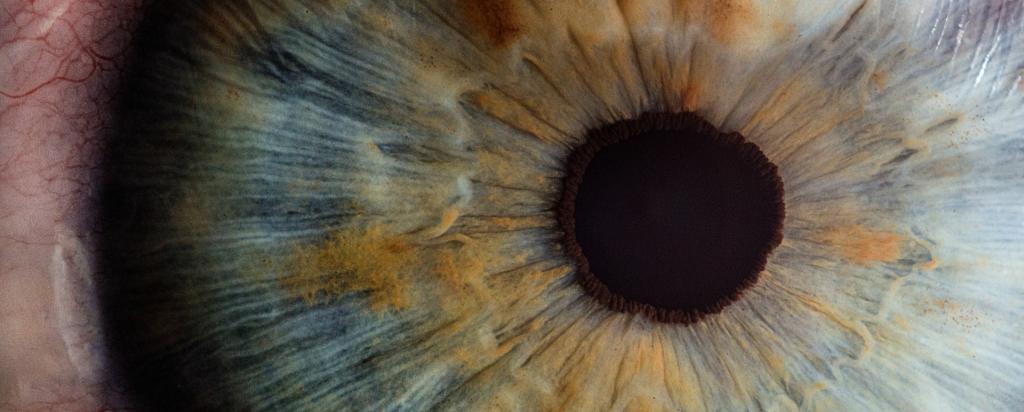 close up of human eye