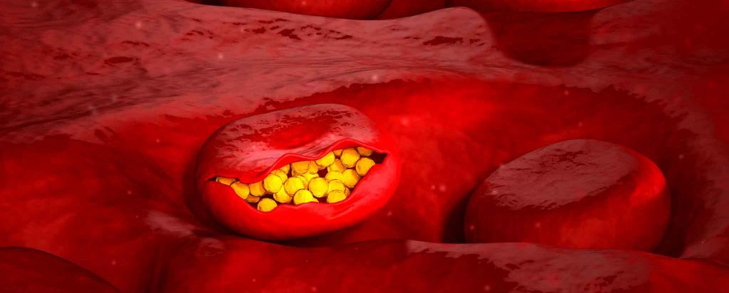 Malaria in blood cells