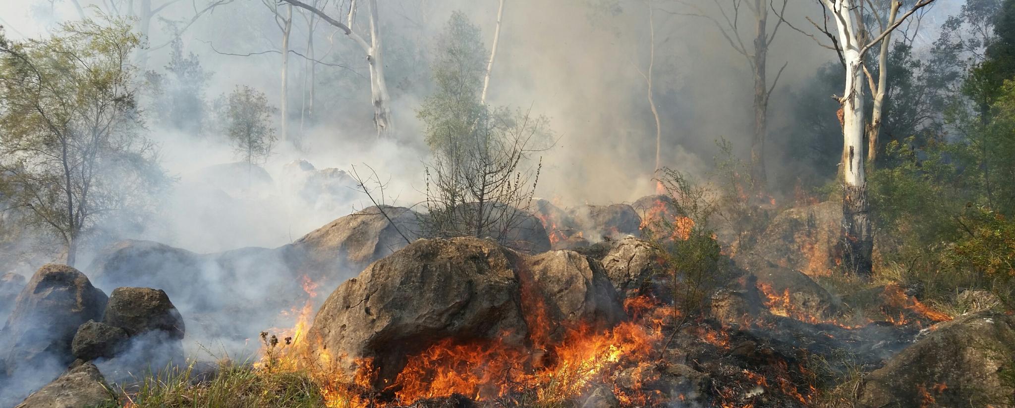 Bushfire Management Plan