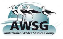 Australasian Wader Studies Group Logo 