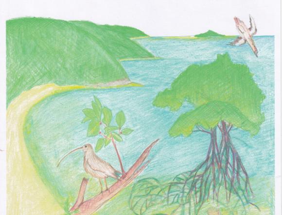 2nd Y3-4 Schools - Sunny M, Avalon Public School, NSW