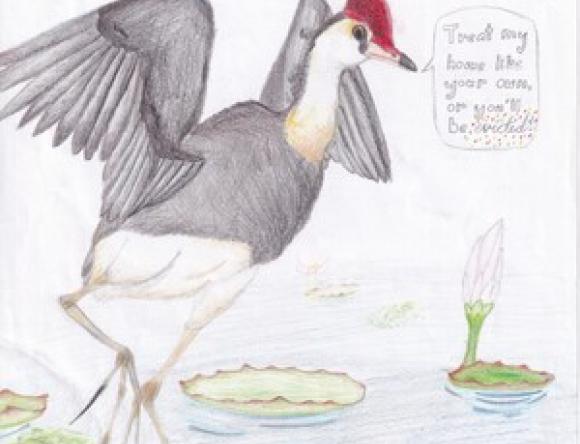 3rd Yr5-6 Schools - Zoe L, Crossmaglen Public School, NSW