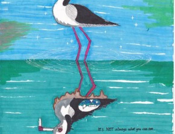 HC Yr5-6 Individual - Yolanda Y, Gordon, NSW