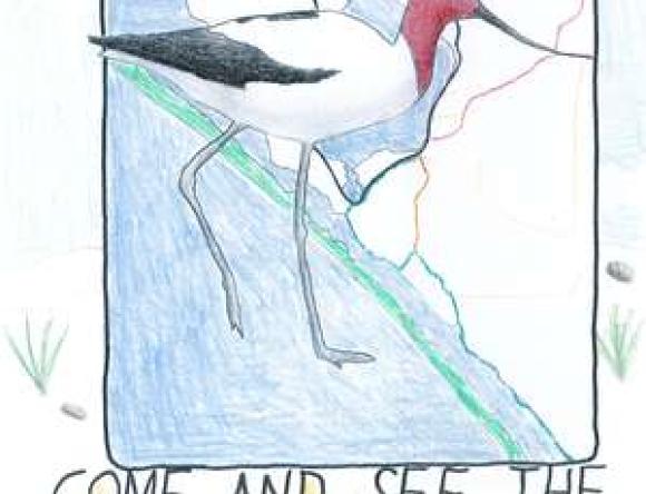 HC Yr5-6 Schools - Annabel R, Wilderness School, SA