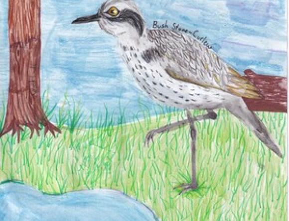 HC Yr5-6 Schools - Olivia T, St Finbar's Primary School, NSW