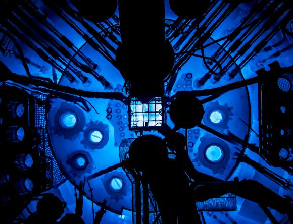 OPAL reactor pool