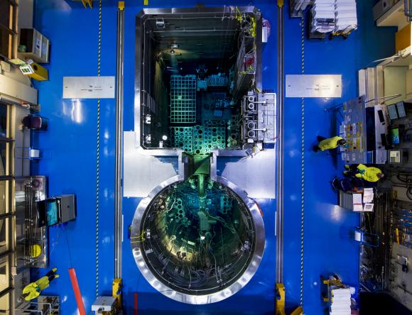 The OPAL multi-purpose reactor and pool