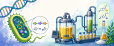 cartoon of synthetic biology production