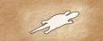 Goanna banner