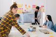 Expert Mentors