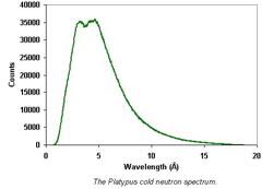 Platypus cold neutron spectrum