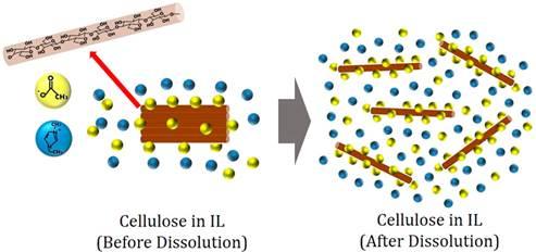 Cellulose